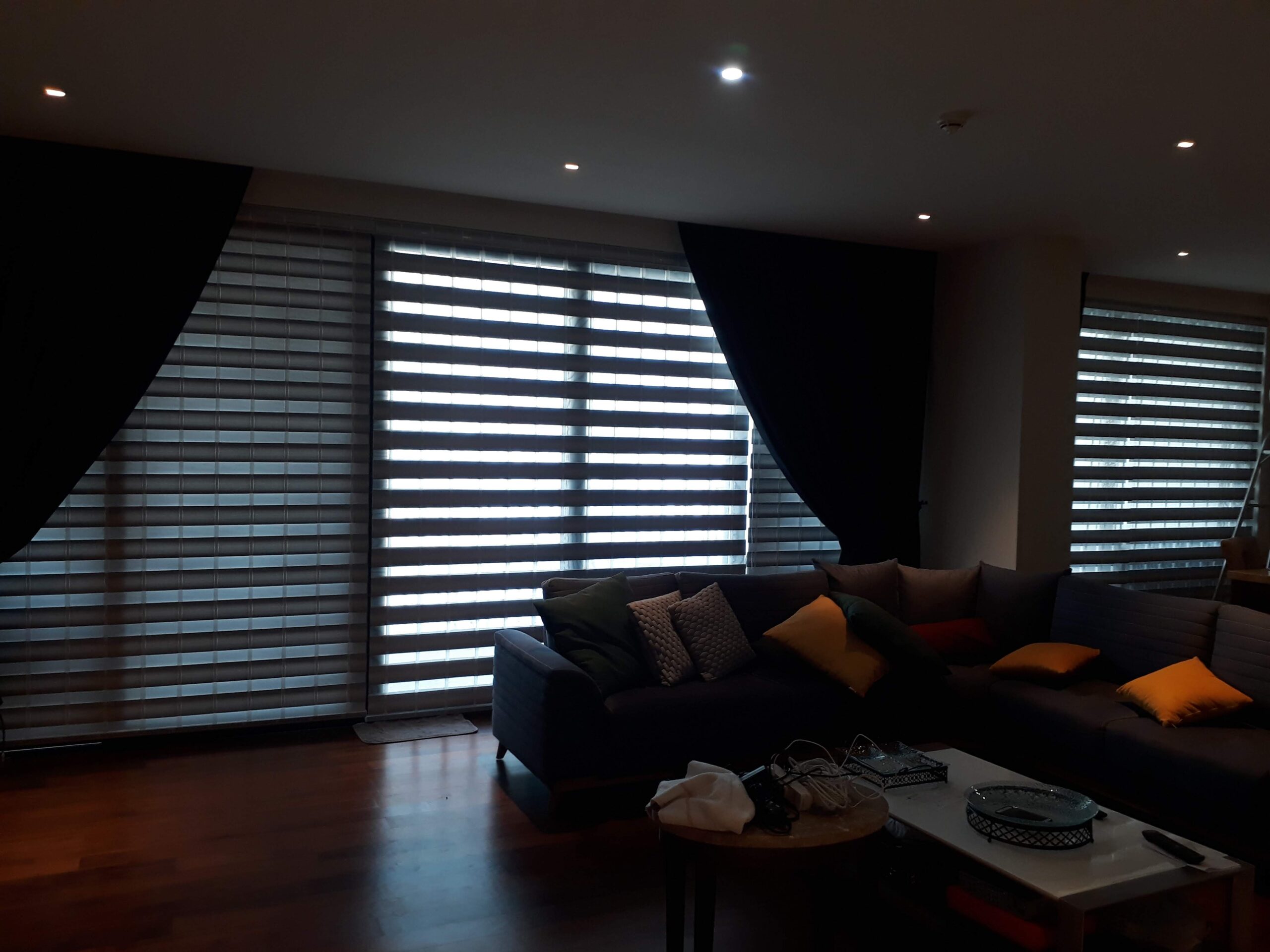 Zebra Blinds